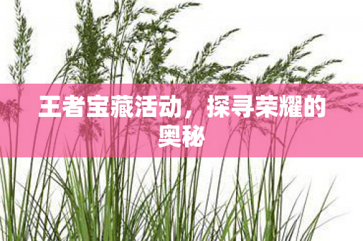 探寻荣耀的奥秘图片