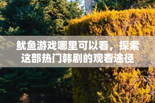 探索这部热门韩剧的观看途径图片
