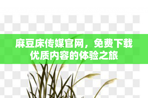 免费下载优质内容的体验之旅图片