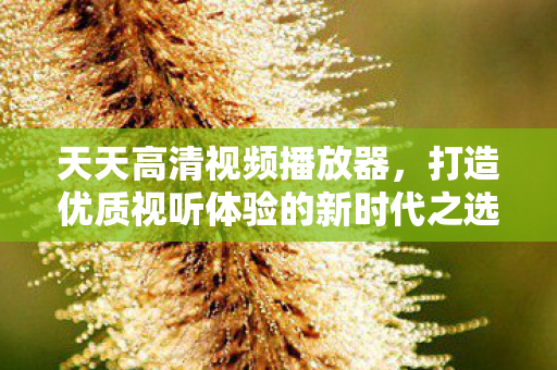 打造优质视听体验的新时代之选图片