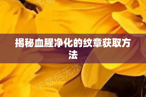 揭秘血腥净化的纹章获取方法图片