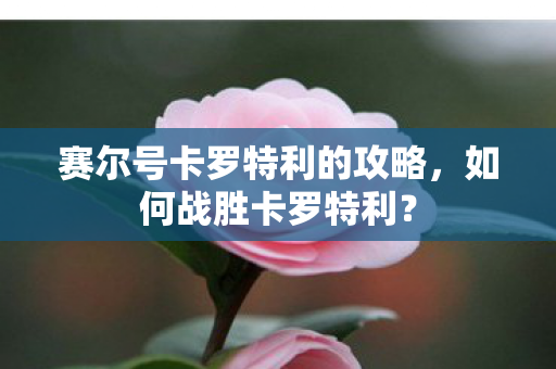 赛尔号卡罗特利的攻略图片