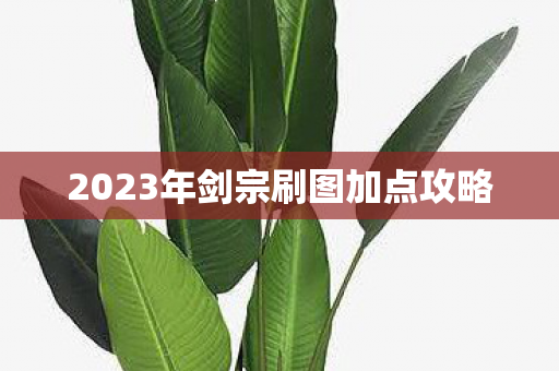 2023年剑宗刷图加点攻略图片