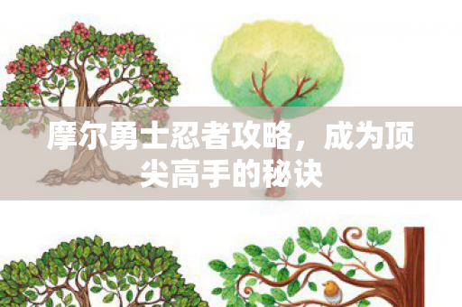 成为顶尖高手的秘诀图片