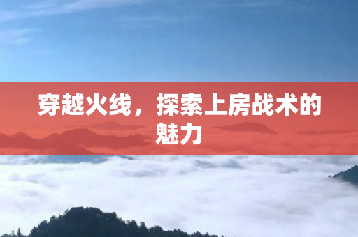 探索上房战术的魅力图片