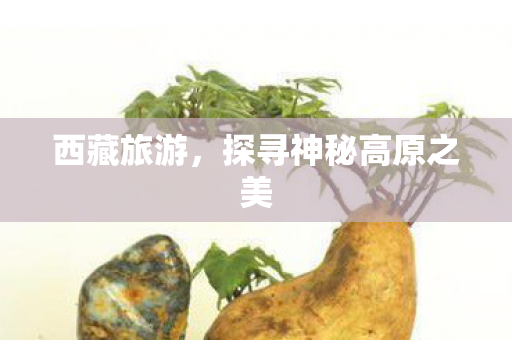探寻神秘高原之美图片