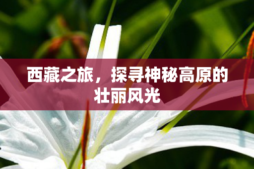 探寻神秘高原的壮丽风光图片