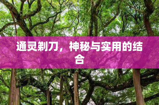 神秘与实用的结合图片