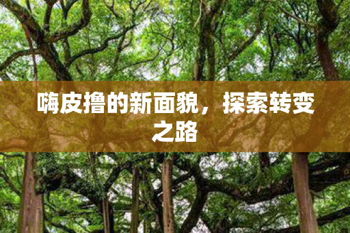 嗨皮撸的新面貌图片