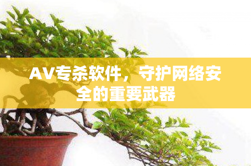 守护网络安全的重要武器图片