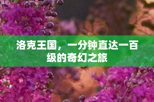 一分钟直达一百级的奇幻之旅图片