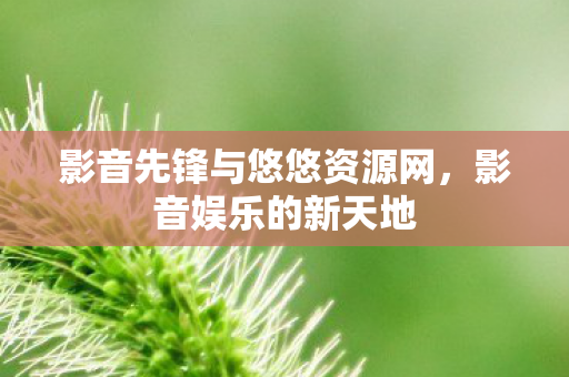 影音先锋与悠悠资源网图片