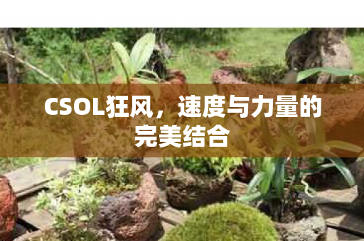 速度与力量的完美结合图片