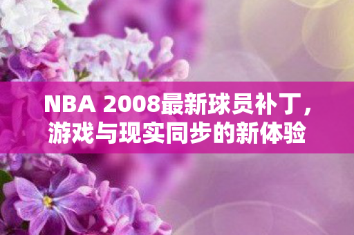NBA 2008最新球员补丁图片