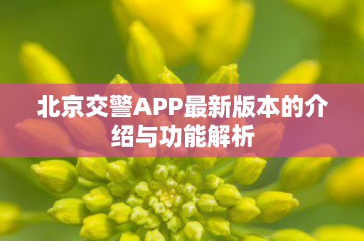 北京交警APP最新版本的介绍与功能解析图片