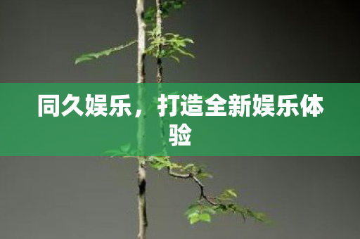 打造全新娱乐体验图片