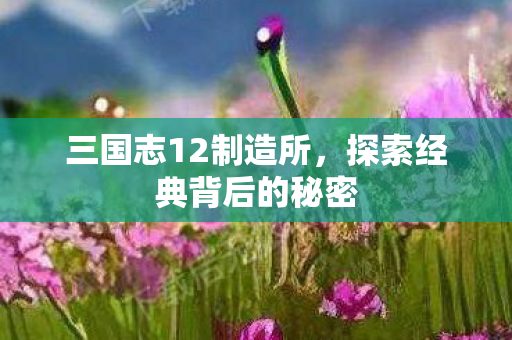 探索经典背后的秘密图片
