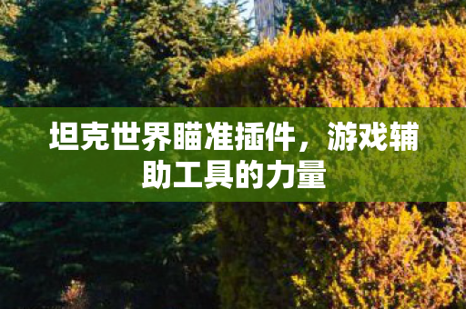 游戏辅助工具的力量图片