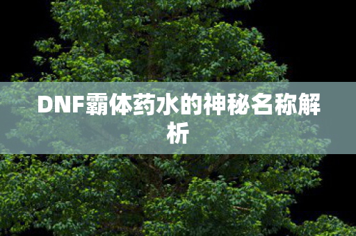 DNF霸体药水的神秘名称解析图片