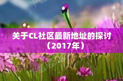 关于CL社区最新地址的探讨图片