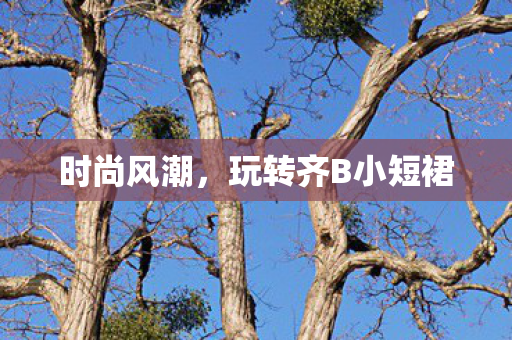 玩转齐B小短裙图片