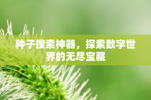 探索数字世界的无尽宝藏图片