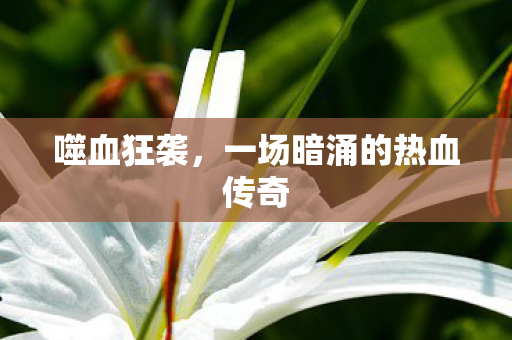一场暗涌的热血传奇图片