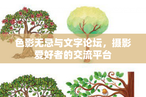 摄影爱好者的交流平台图片