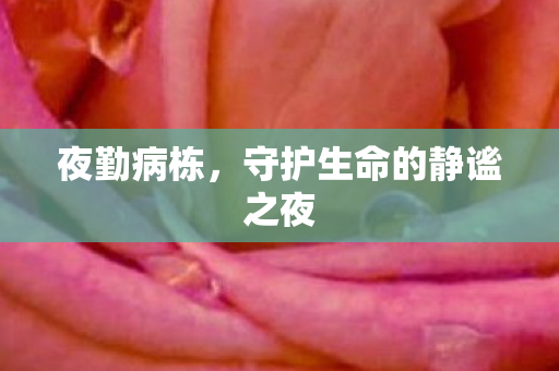 守护生命的静谧之夜图片
