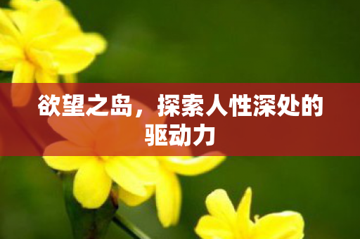 探索人性深处的驱动力图片