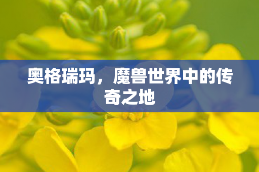 魔兽世界中的传奇之地图片