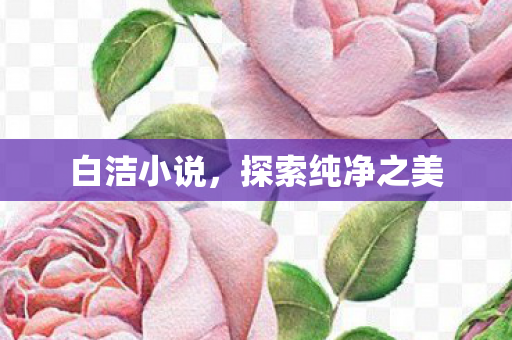 探索纯净之美图片