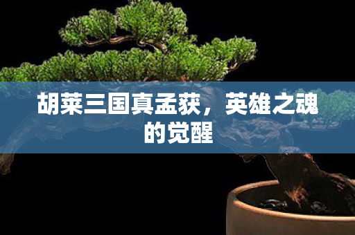 胡莱三国真孟获图片