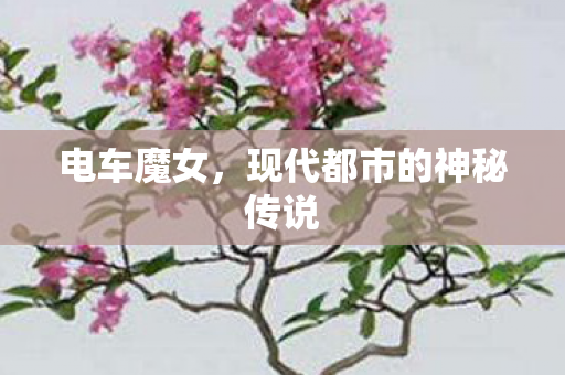 现代都市的神秘传说图片