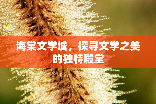 探寻文学之美的独特殿堂图片