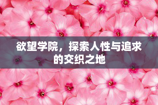 探索人性与追求的交织之地图片