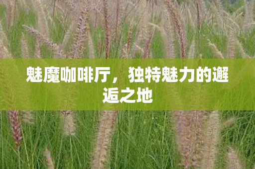 独特魅力的邂逅之地图片