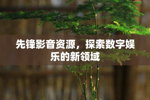 探索数字娱乐的新领域图片