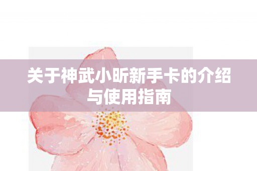 关于神武小昕新手卡的介绍与使用指南图片