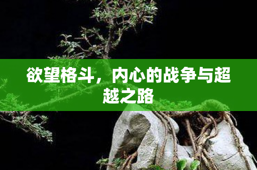 内心的战争与超越之路图片