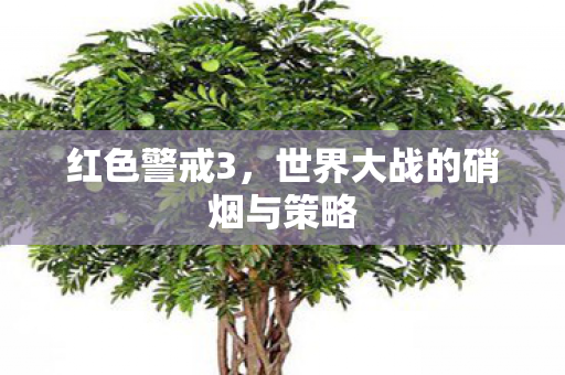 世界大战的硝烟与策略图片