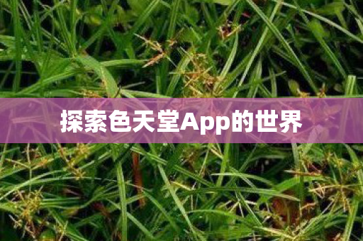 探索色天堂App的世界图片