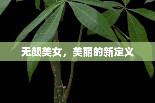 美丽的新定义图片