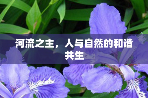 人与自然的和谐共生图片