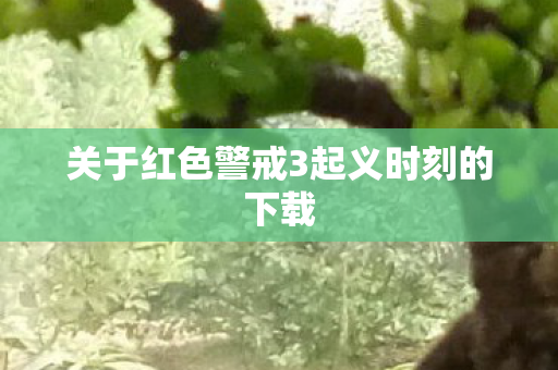 关于红色警戒3起义时刻的下载图片