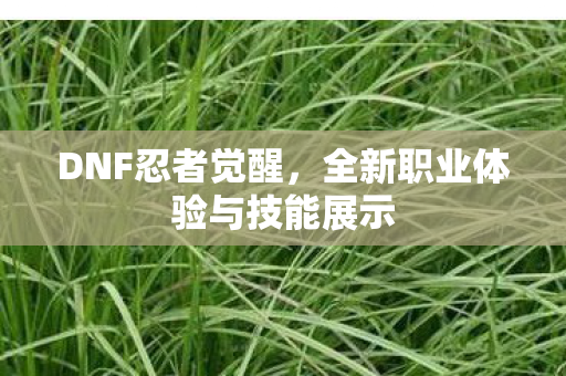 全新职业体验与技能展示图片
