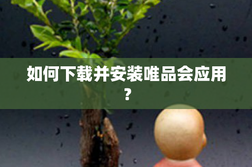 如何下载并安装唯品会应用图片