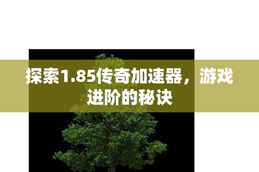 85传奇加速器图片