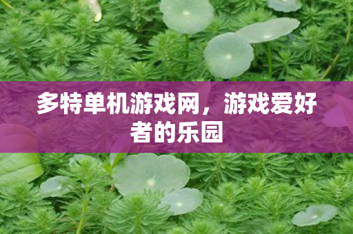 游戏爱好者的乐园图片