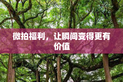 让瞬间变得更有价值图片